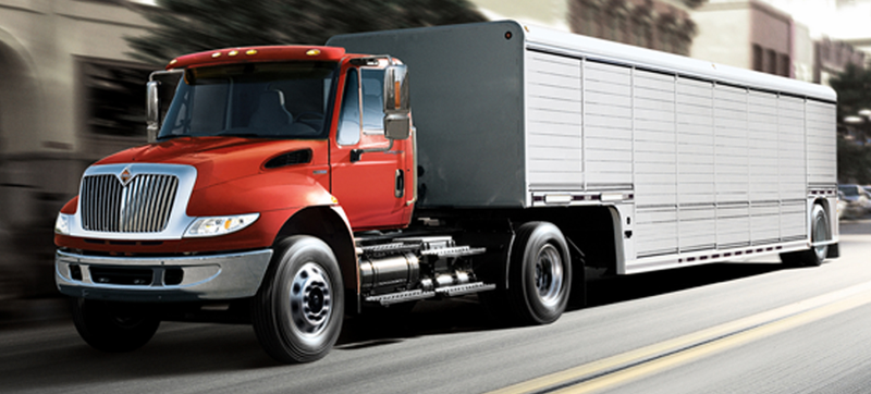 Illustration for article titled Power Stroke Vs. Cummins Rivalry Is Stepping Up To Even Bigger Trucks